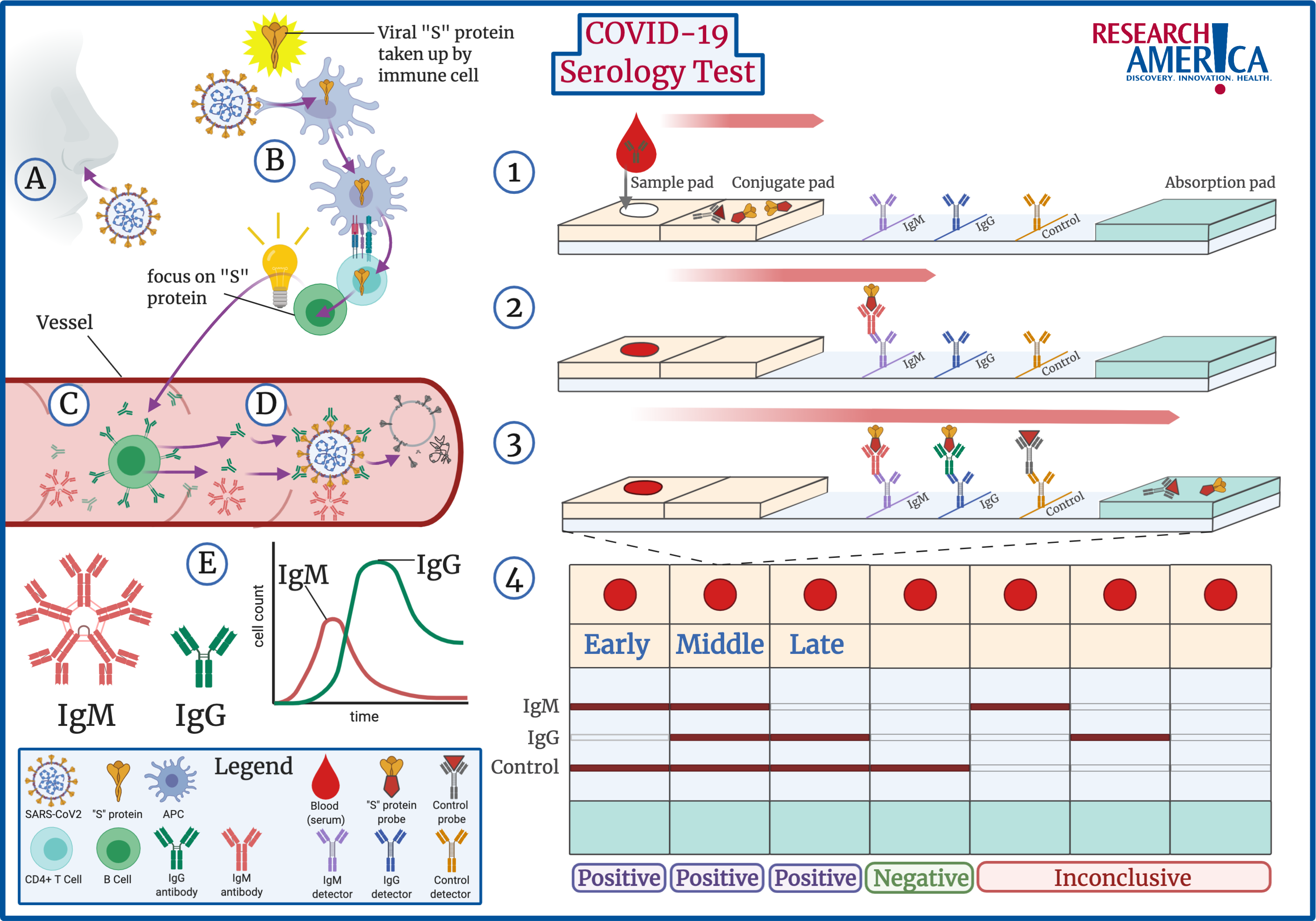 Explained How A COVID 19 Serology Test Works And Obstacles To Its Use 